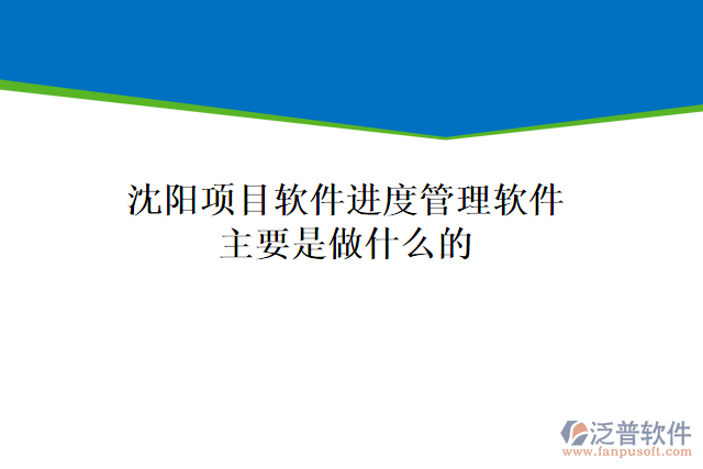 沈陽(yáng)項(xiàng)目軟件進(jìn)度管理軟件主要是做什么的