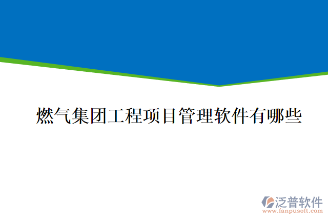 燃?xì)饧瘓F(tuán)工程項目管理軟件有哪些