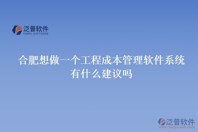 合肥想做一個工程成本管理軟件系統(tǒng)，有什么建議嗎