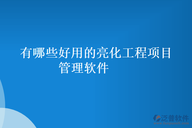 有哪些好用的亮化工程項目管理軟件