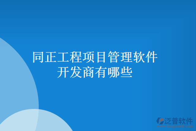 同正工程項目管理軟件開發(fā)商有哪些