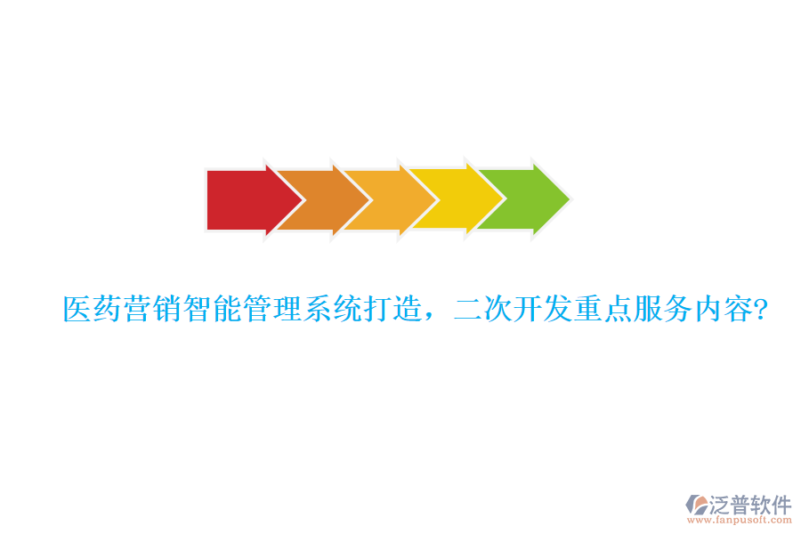 醫(yī)藥營銷智能管理系統(tǒng)打造，二次開發(fā)重點服務內容?